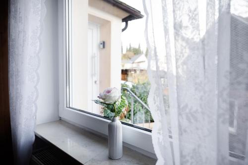 บริการและสิ่งอำนวยความสะดวก, 4 Bett Ferienwohnung Lavendel in เวสเทอร์บูร์ก