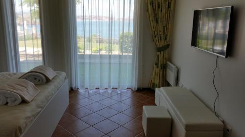 Apartment Antea Pontica