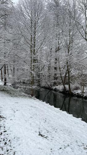 Spreewald Chalet Wohnung