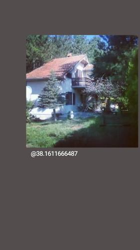 Vila Sofija na Dunavu
