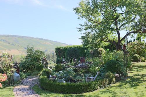 Alrededores, Gartenidyll in Bad Mergentheim