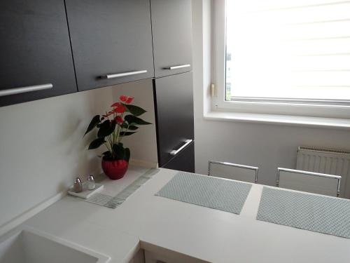 Marguerite apartment - parking including, Bratislava (foto 6)