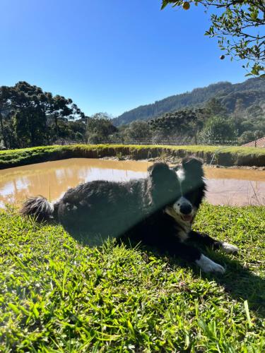 Camping Da Roça