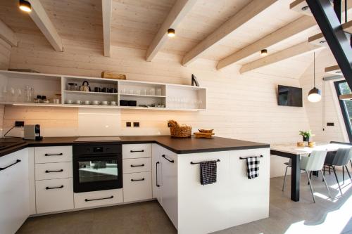 Kitchen, Chalet Belveder Zelezna Ruda Martina near Spicak Observation Deck