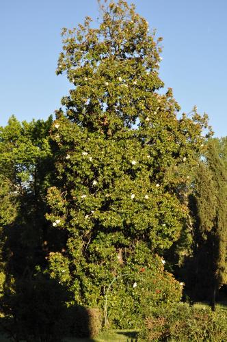 Buonincontro Apartment - image 8