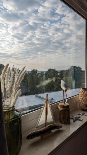 Seemöve, Glücksburg (foto 8)