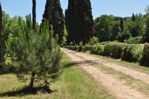 Buonincontro Apartment - image 7