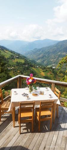 Apkārtne, GREEN GUNDAURI in Zeda Makhuntseti