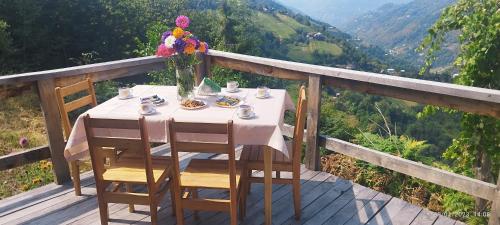 Apkārtne, GREEN GUNDAURI in Zeda Makhuntseti