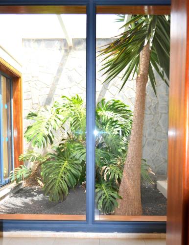 Sun Grove Villas & Spa - image 2