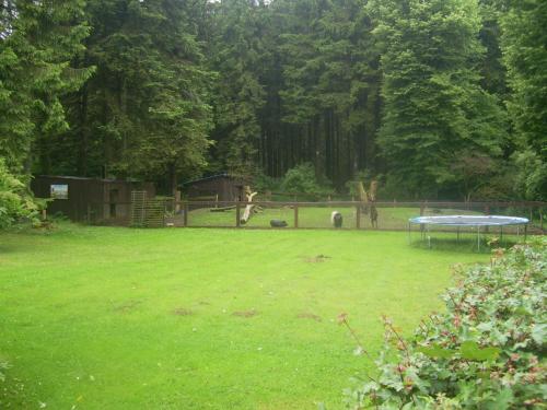 Heidehof Hellenthal, Hellenthal (foto 7)