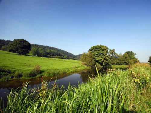 Barn Owl Lodge-qu7487