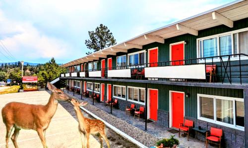 Deerview Lodge & Cabins - Princeton BC - Accommodation - Princeton