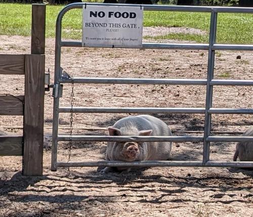 Rooterville Animal Sanctuary