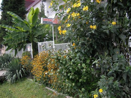 Sarokhaz Panzio Keszthely - image 7