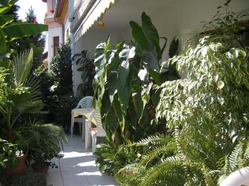 Sarokhaz Panzio Keszthely - main image