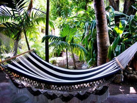 VOLUNTARY & Camping in Cozumel, Mexico