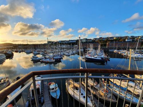 B&B Milford Haven - Marina Retreat - Bed and Breakfast Milford Haven