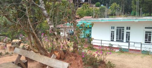 Forest Cyniciam Homestay