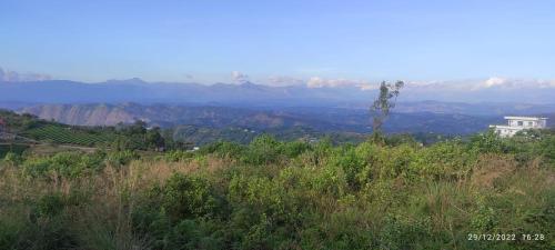 ECO PATH RESORT IDUKKI