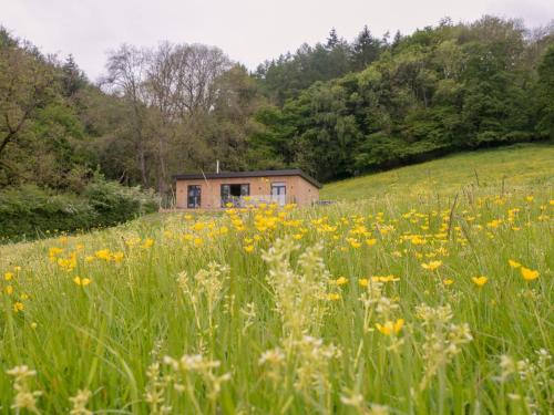 Barn Owl Lodge-qu7487