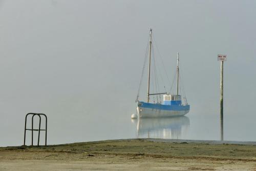 Le Cocon de l'Estuaire, T2 confort, bord de plage et paysages