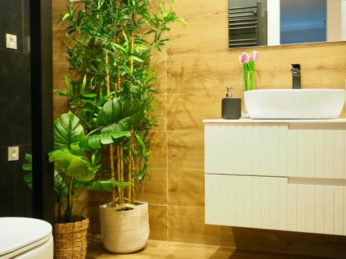 Apartamento en Bilbao, Bilbao (photo 10)