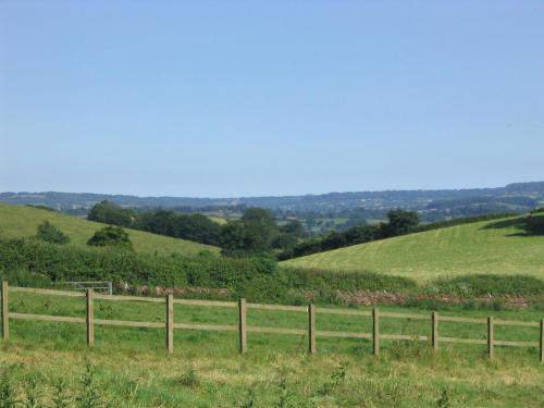 Brambles Bed and Breakfast - image 4