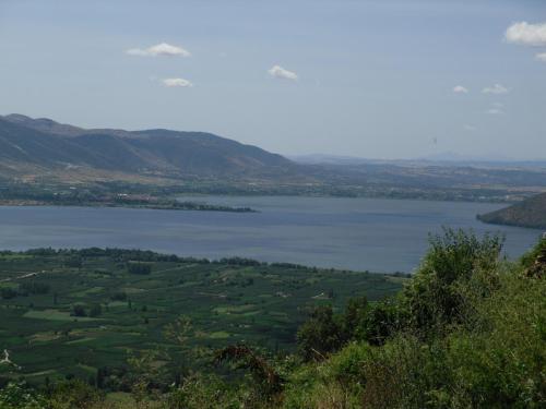 Nimbus Guesthouse - image 13