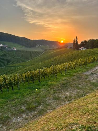 Weinlandzauber An der Lage