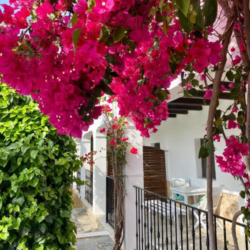 Buenavista Suites Hotel Boutique - image 4