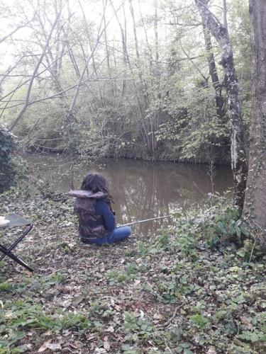 Les guernouilles in Mézières-en-Brenne