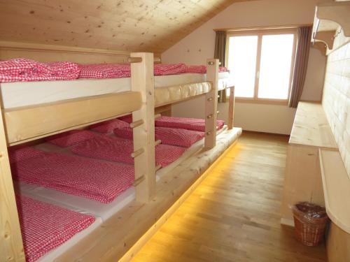 Single Bed in Mixed Dormitory Room