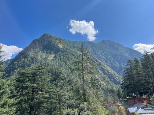 Yashi Kasol Cottage