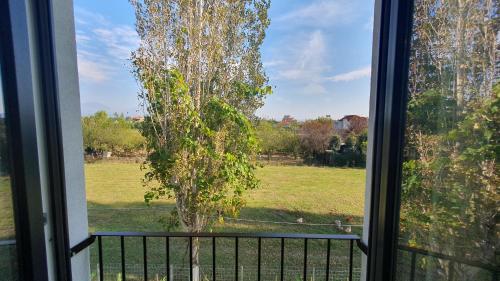 สภาพแวดล้อมโดยรอบ, Nerium Garden Inn Tirana Airport in รินาส