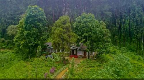 Greendale Holiday Bungalow
