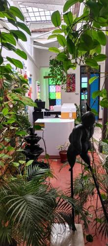 Casa Blanca San Antonio Hostal Boutique - Guanabanal