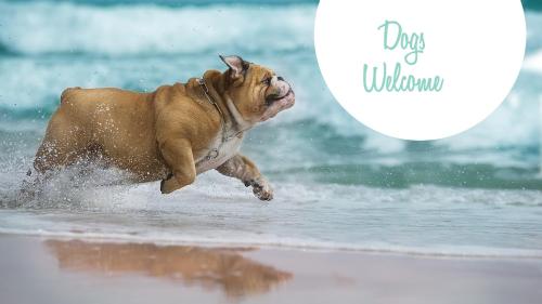 4x1620, Sunshine Day-Oceanside, Ocean View, Pets Welcome, Wild Horses!