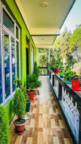 MIRIK HOMESTAY  in Mirik