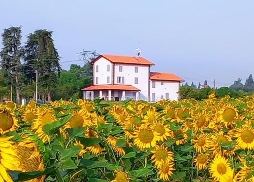 La collinetta B&B - Accommodation - Crespellano