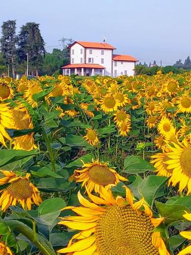 La collinetta B&B