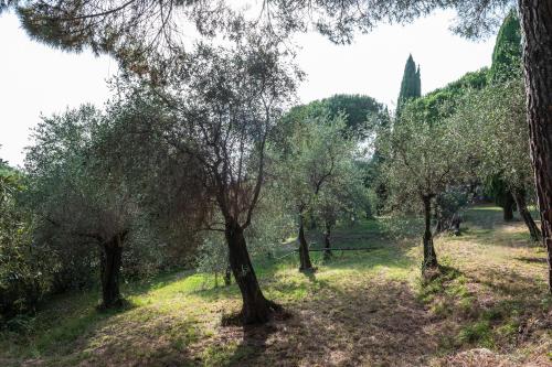 Luxury Apartment in Villa with Portofino view