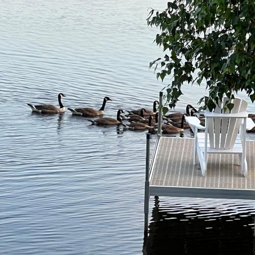 Chalet KLS Lac D'Argent