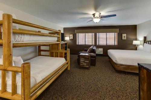1 king bed, 1 bunk bed, 1 sofa bed