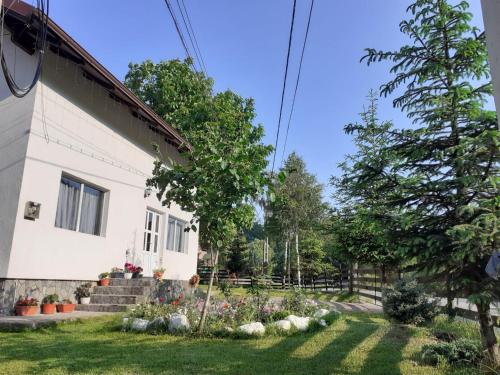 Casa Ilinca, Şimon