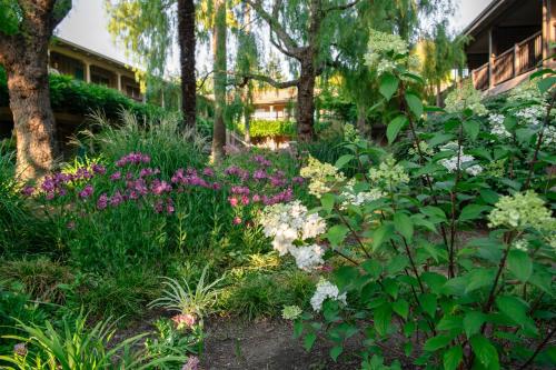 El Pueblo Inn – Sonoma, CA