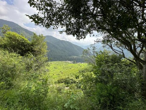 Deodar Village Homestay