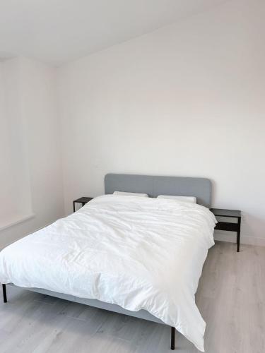 Private Entrance Entire Guest Suite - 1 bedroom in Coquitlam, Canada