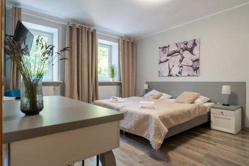 Willa Sonata - Apartamenty & Balia - Szklarska Poręba, Szklarska Poręba (foto 10)