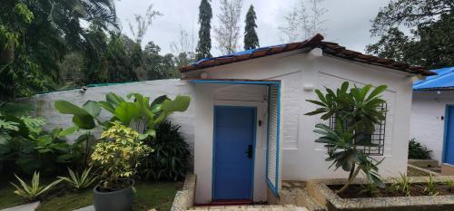 Eco Cottages in South Goa with Private Waterfall